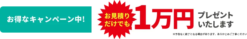 お得なキャンペーン中